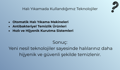 Halıdan Çıkmayan Lekeler